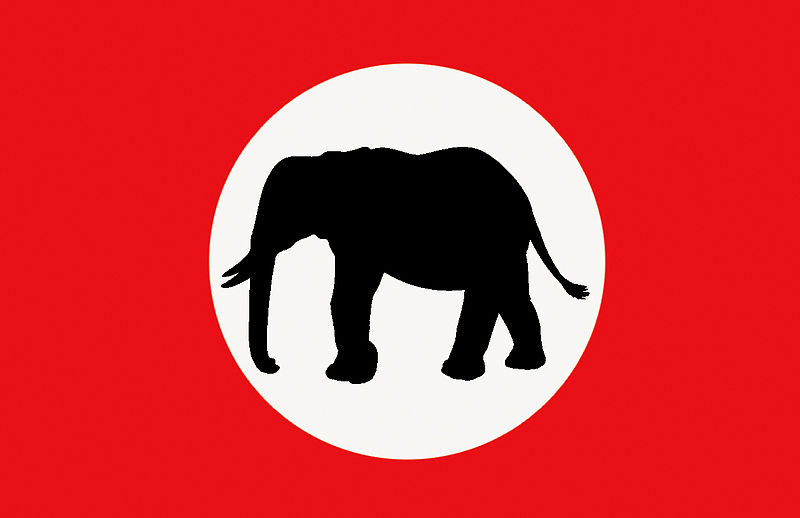 barotseland+royal+flag.jpg