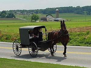 300px-Lancaster_County_Amish_03.jpg
