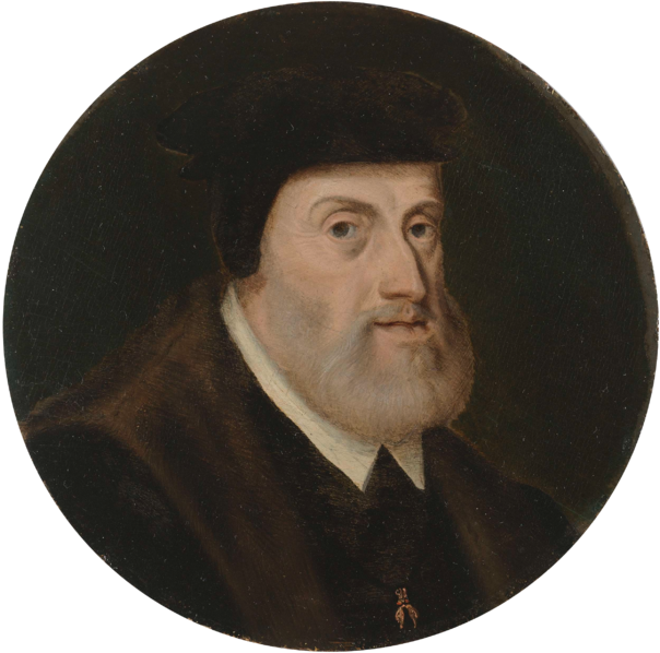 604px-Anonymous%2C_Portrait_of_Charles_V%2C_Rijksmuseum-%28trans_back%29.png