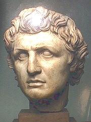 seleucus_1.jpg