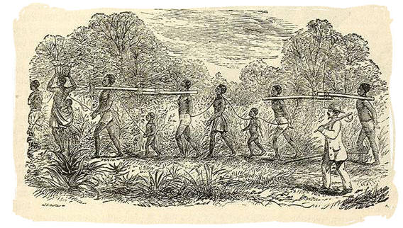 slave-transport-in-afrika-slavesinsouthafrica.jpg