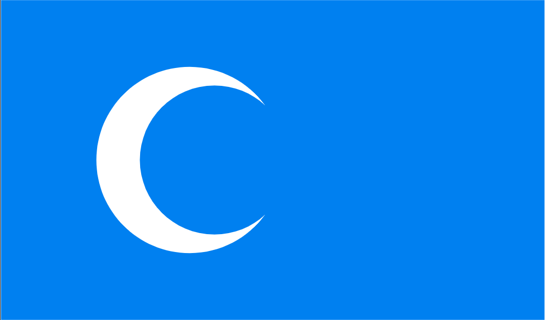 Флаг Туркестана. Флаг уйгуров. Флаг Турции голубого цвета. Флаги с полумесяцем.