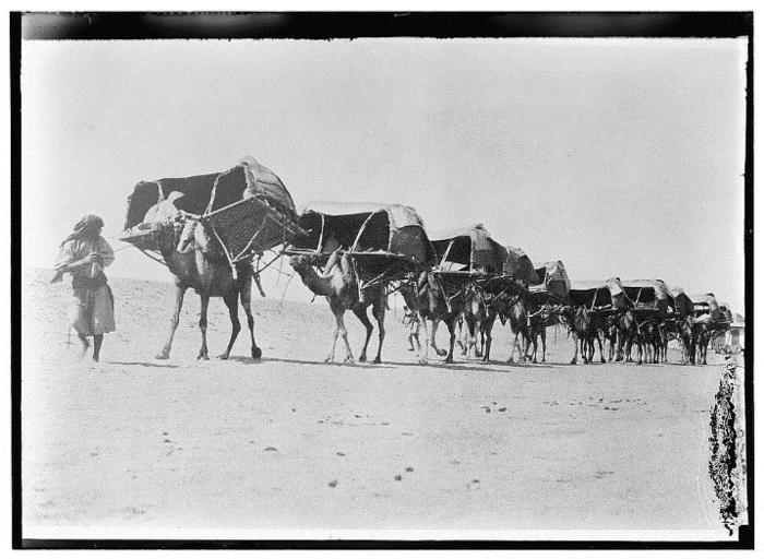 1906 Arabia 2.png