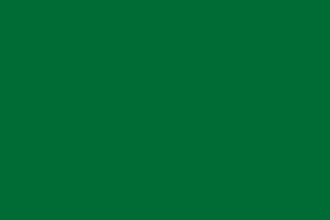 20-flag-of-arabia-png.275734