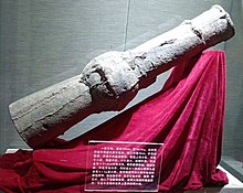 220px-Western_Xia_cannon.jpg