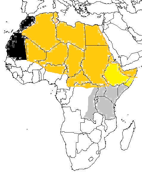 africa (1).jpg