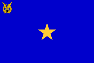 airforce flag.png