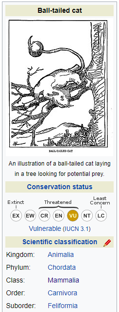 Ball-tailed cat #1.png