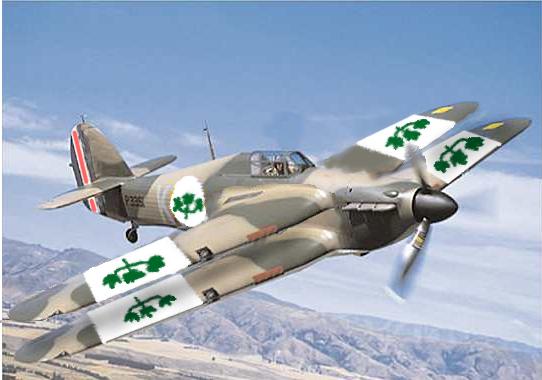 Canadian Fighter 2.JPG