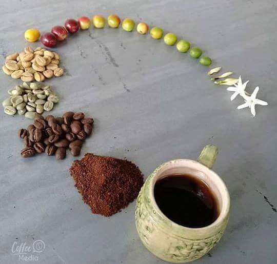 coffee-life.jpg