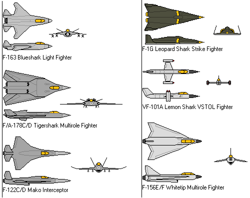 Combat Aircraft.png