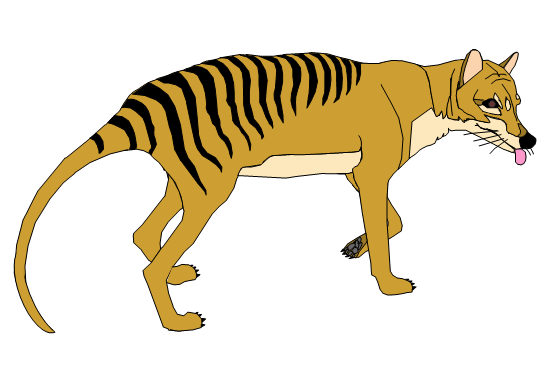 Copy of tasmanian-tiger.png