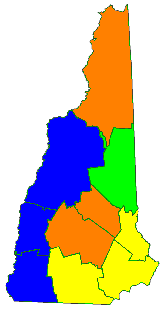 Democratic NH Primary.png