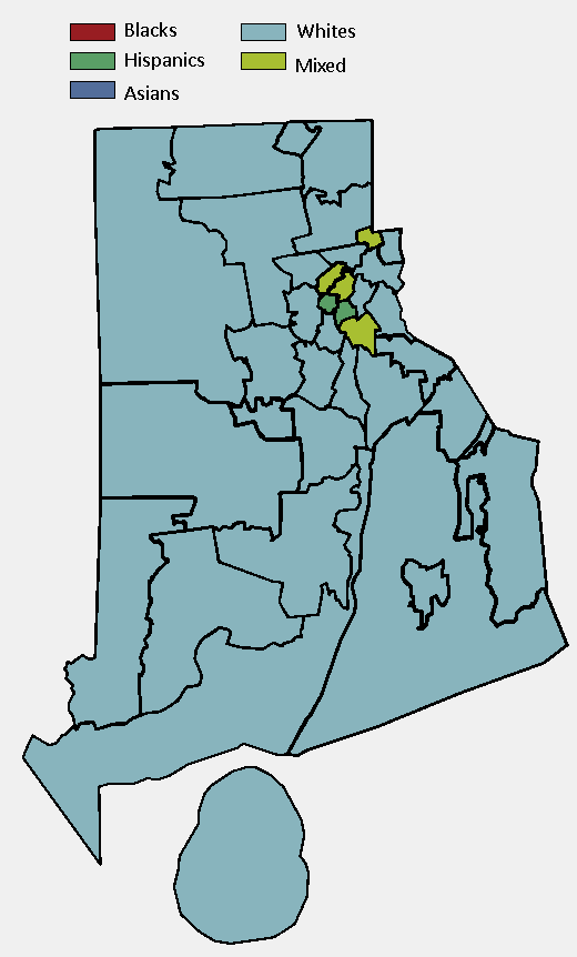 district map with racial demographics.png