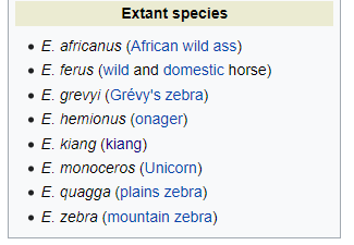 Equus genus infobox.png