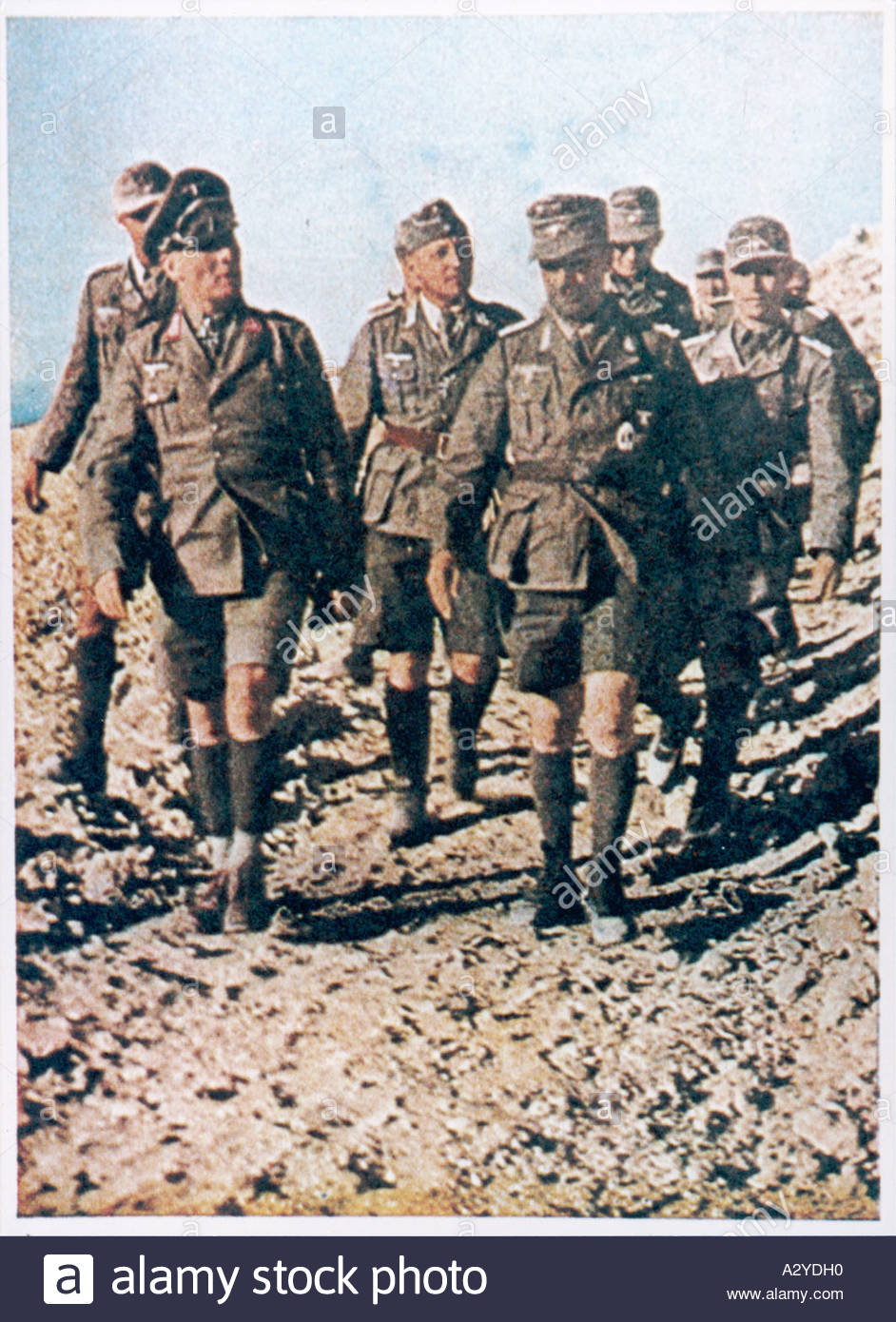 erwin-rommel-afrika-korp-A2YDH0.jpg