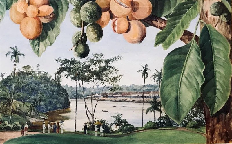 ezgif.com-webp-to-jpg_view-from-the-istana-sarawak-borneo-1876.jpg