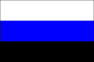 Fascist Russia flag.png