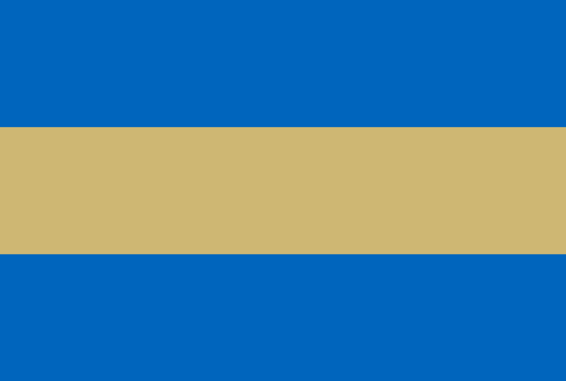 flag (2).png