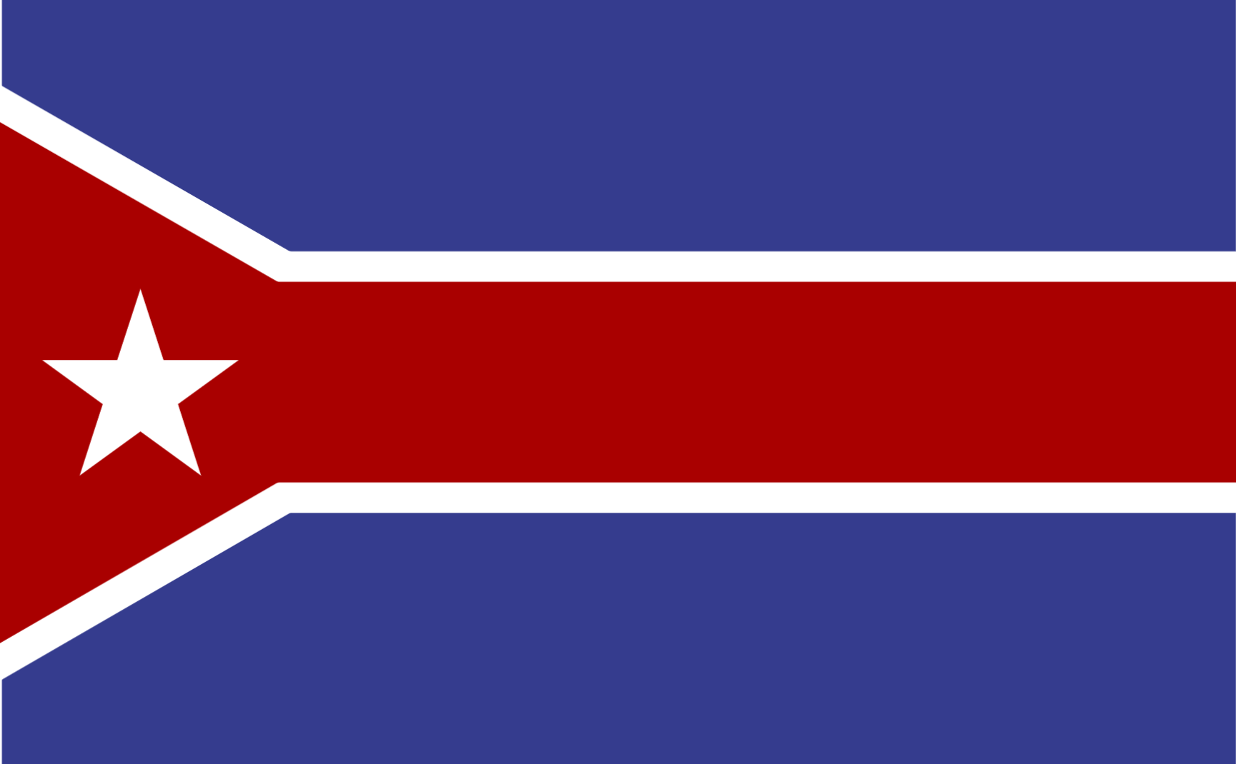 flag - 2022-12-11T191702.459.png