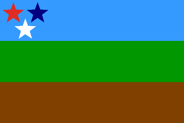 flag 3.PNG