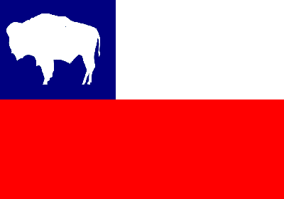 Flag of Laramie.png