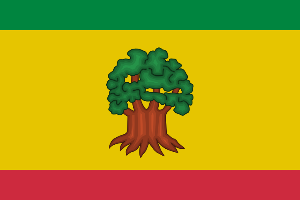 Flag of Senegal A.png