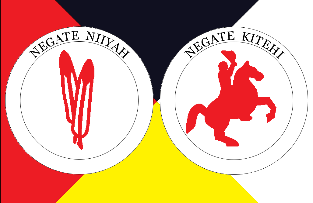 Flag of the Nine Civilized Tribes.png