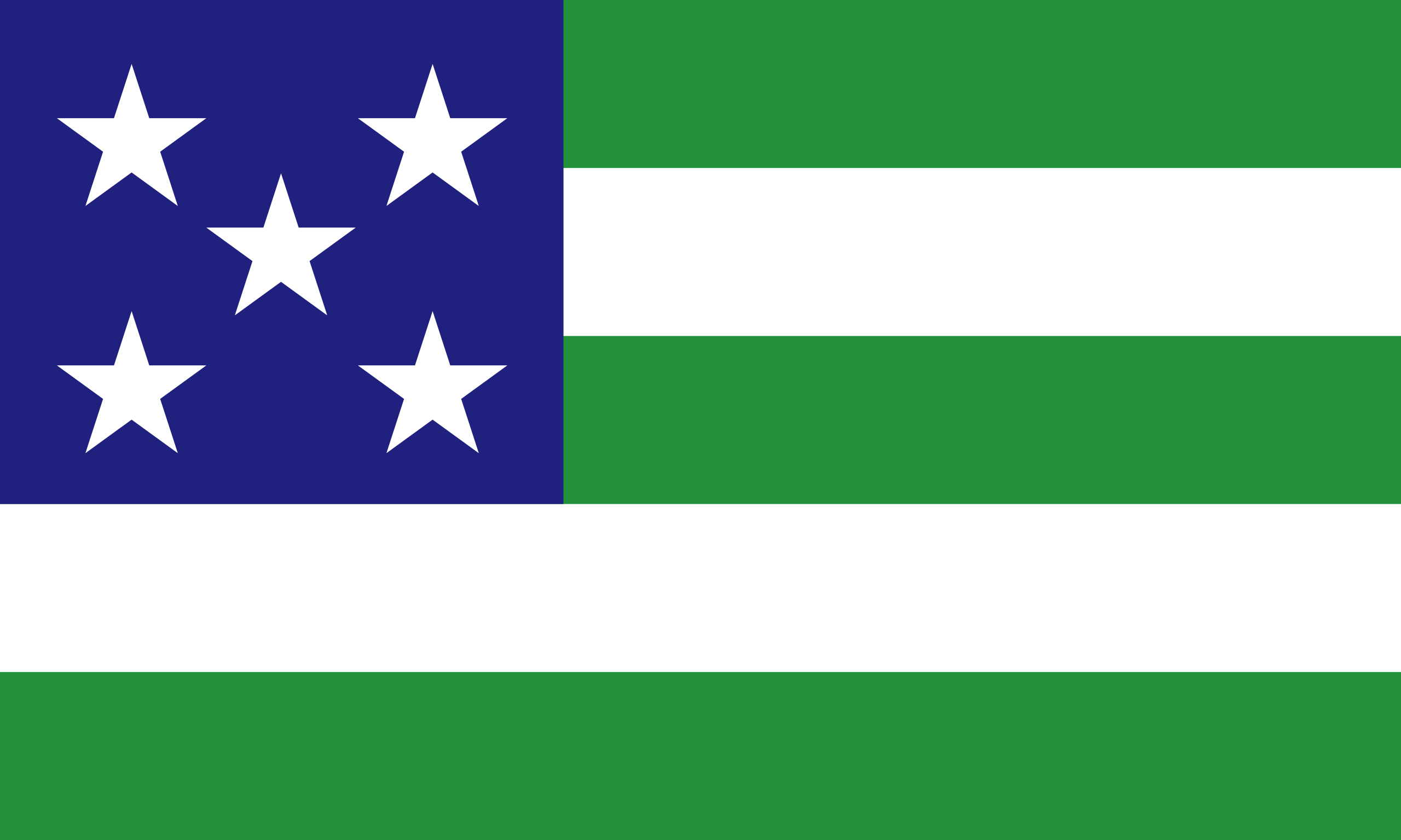 Flag_of_Manhattan_NMN.svg copy.png