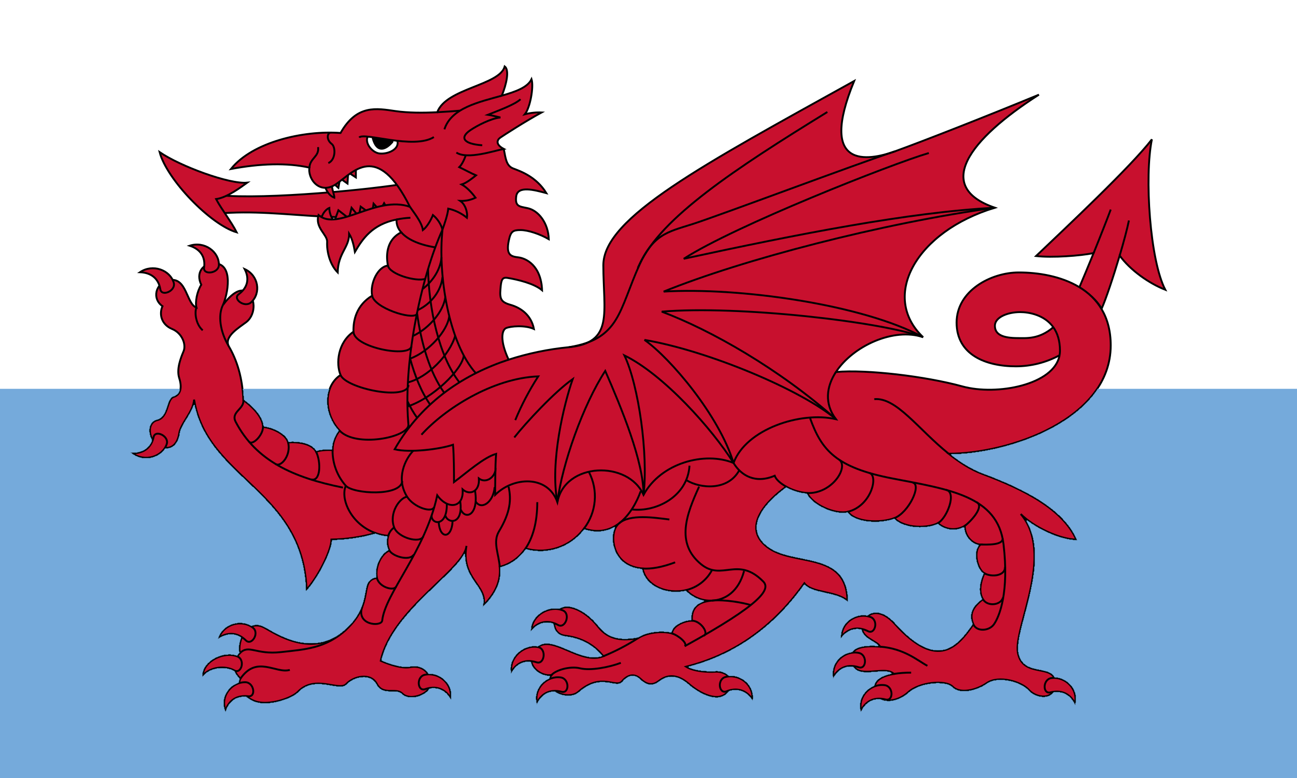 Flag_of_New_Wales.svg.png