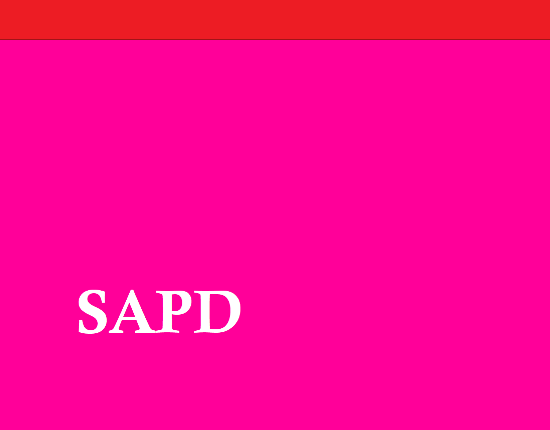 Flagge SAPD 1.png