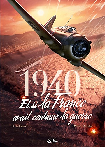 france fights on book cover.jpg
