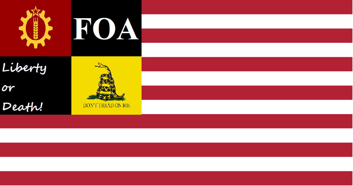 Freedom of America flag.png