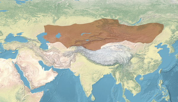 Map_of_the_First_Turkic_Kaghanate (1).png