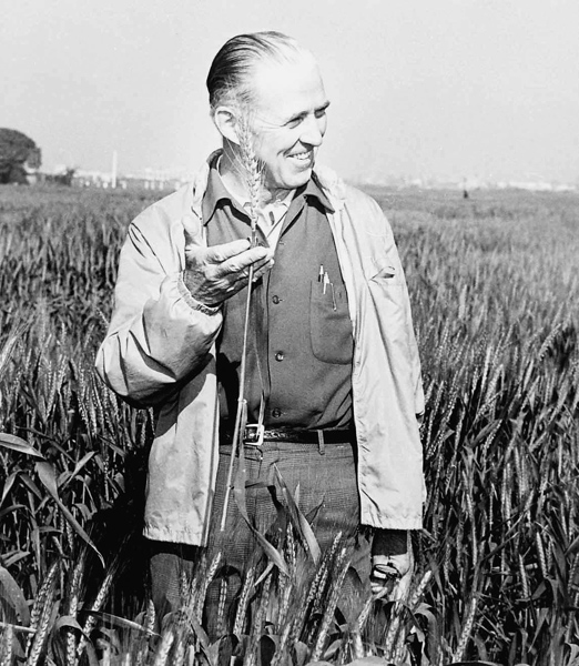 McGoverning Norman Borlaug Food for Peace.jpg