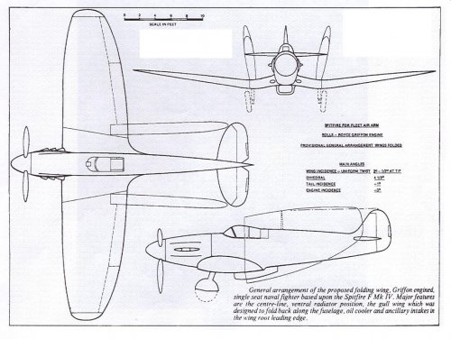 NavalSpitfire_mkIV.jpg