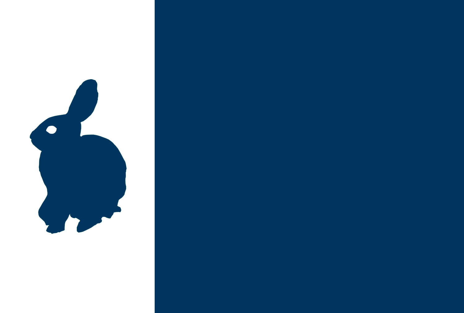 New Southern Flag.png