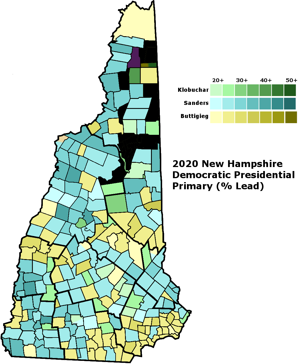 NH 2020 Democratic Presidential Primary.png