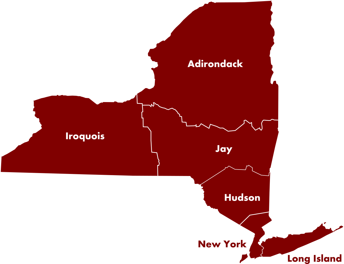 nycounties.png