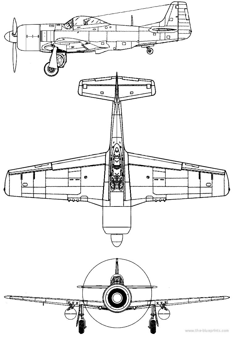 P51D-Mustang-w-BMW Radial.png