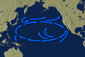 pacific_gyre.jpg