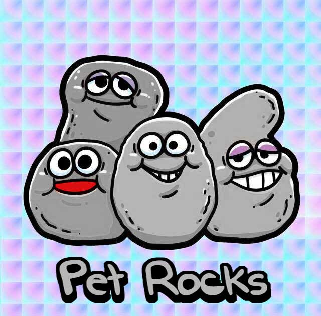 pet-rocks.jpg