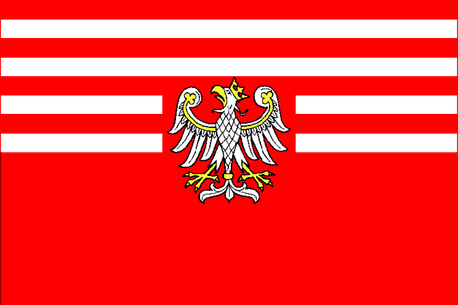 Poland-Hungary Flag.jpg