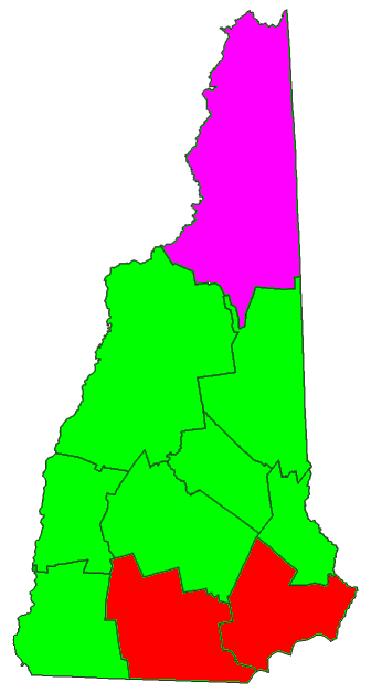 Republican NH Primary.png