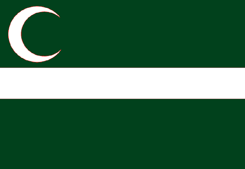 Sindh flag.PNG