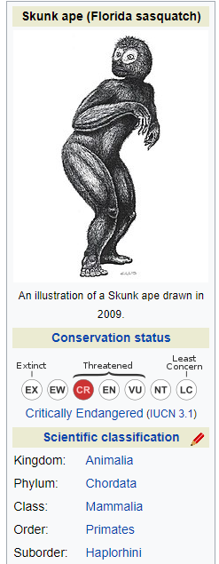 Skunk ape box #1.png