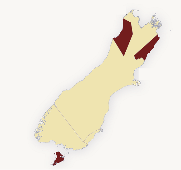 South Island.png