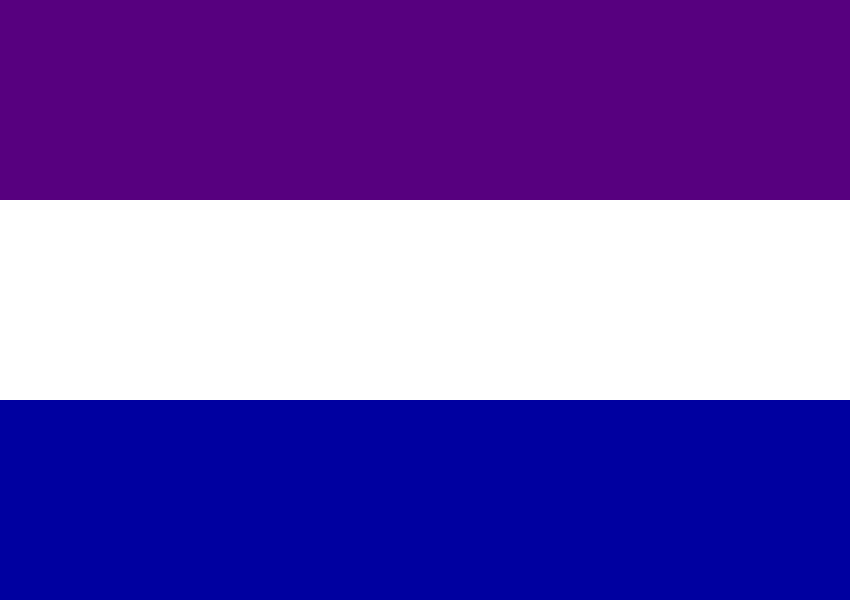 The Flag.png