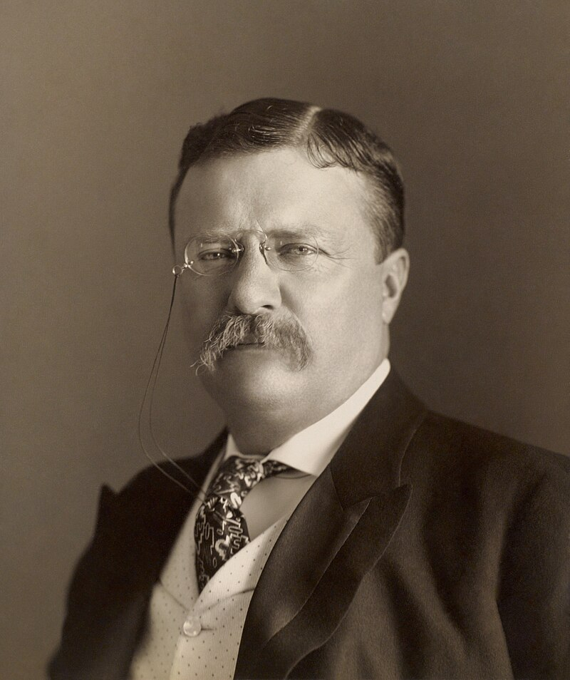 Theodore_Roosevelt_by_the_Pach_Bros.jpg
