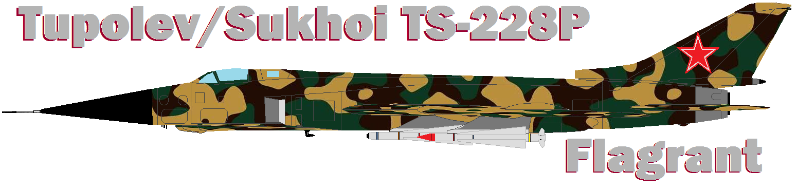 TupolevTu228.png